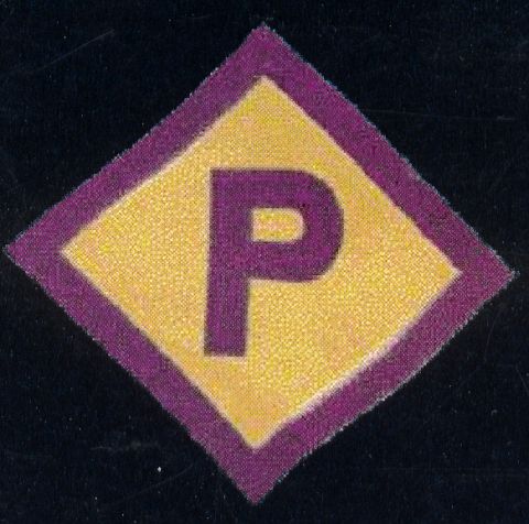 Polish badge - Forced Labour